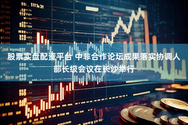 股票实盘配资平台 中非合作论坛成果落实协调人部长级会议在长沙举行