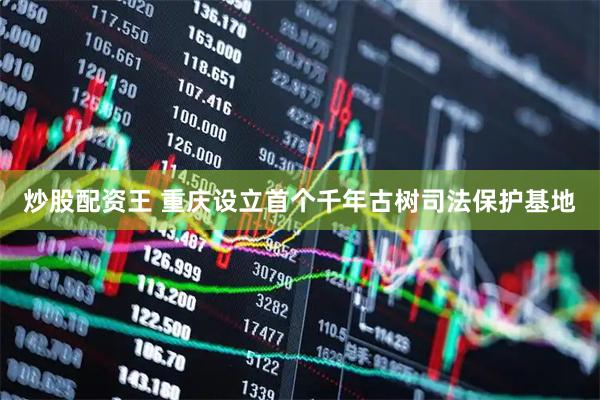 炒股配资王 重庆设立首个千年古树司法保护基地