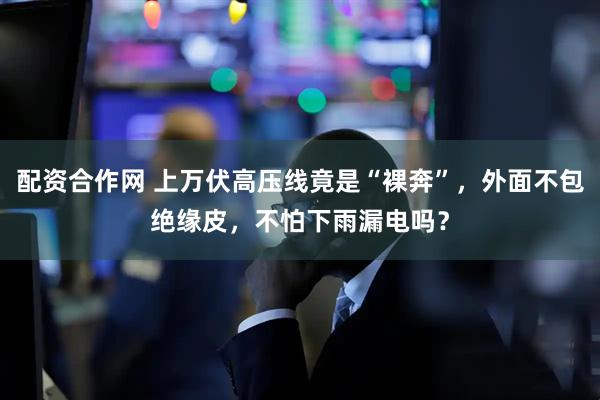 配资合作网 上万伏高压线竟是“裸奔”，外面不包绝缘皮，不怕下雨漏电吗？